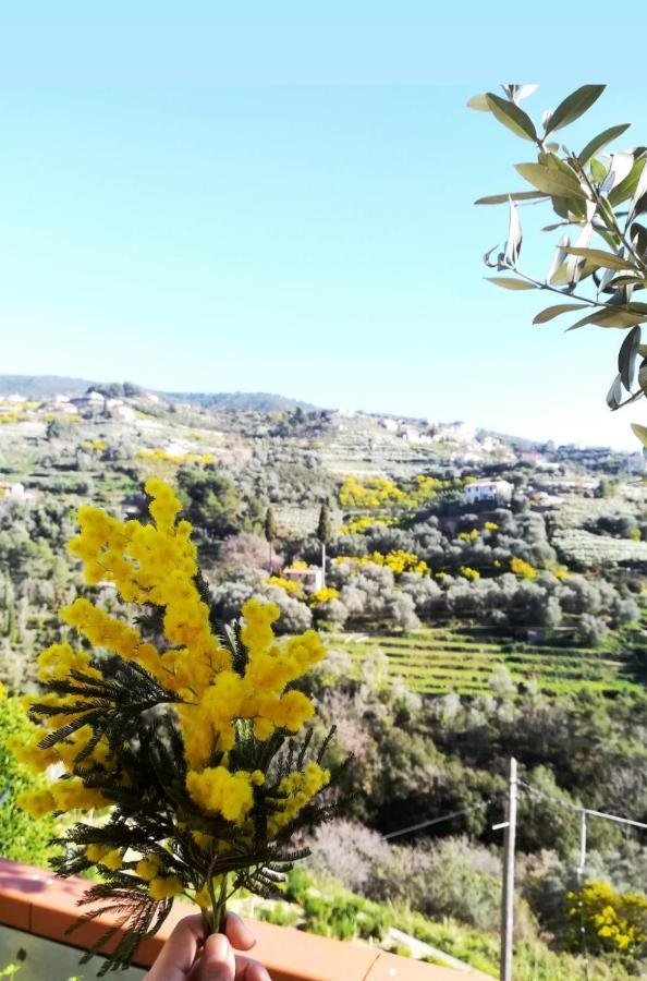 Agriturismo Terre Di Mare Bordighera Vallecrosia Exterior photo