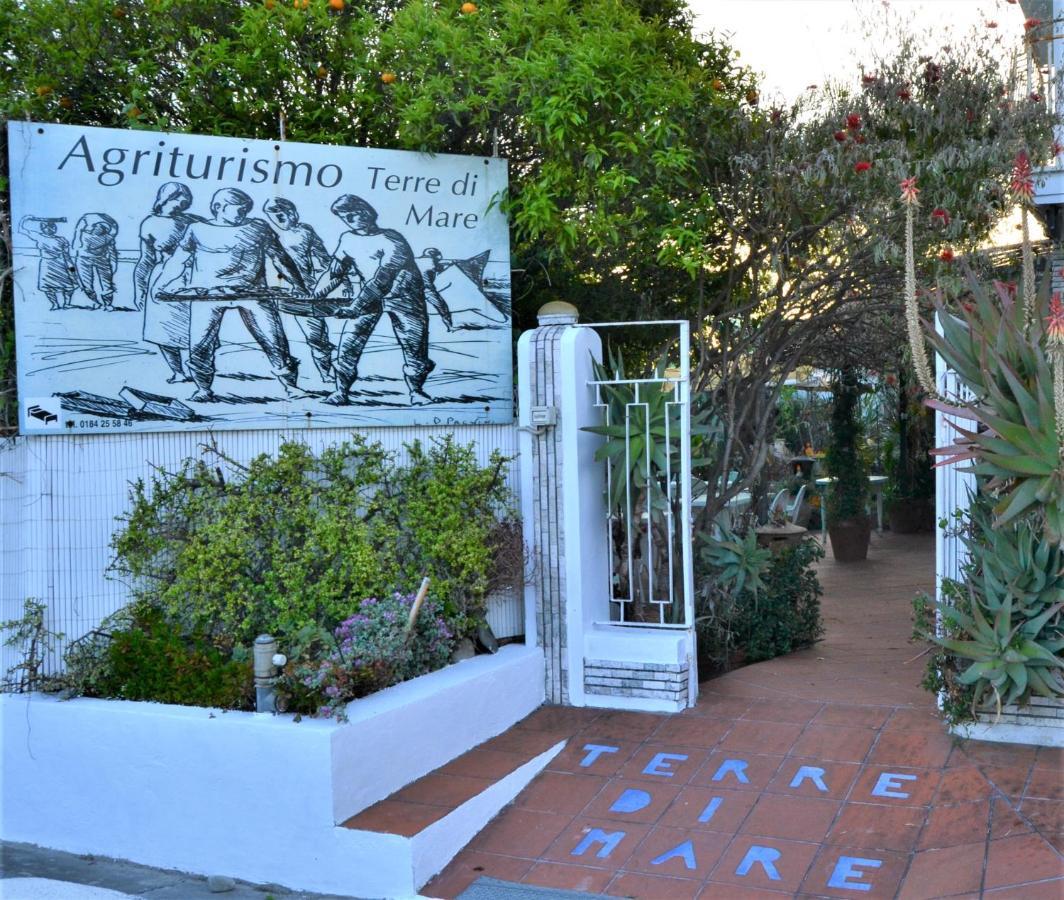 Agriturismo Terre Di Mare Bordighera Vallecrosia Exterior photo