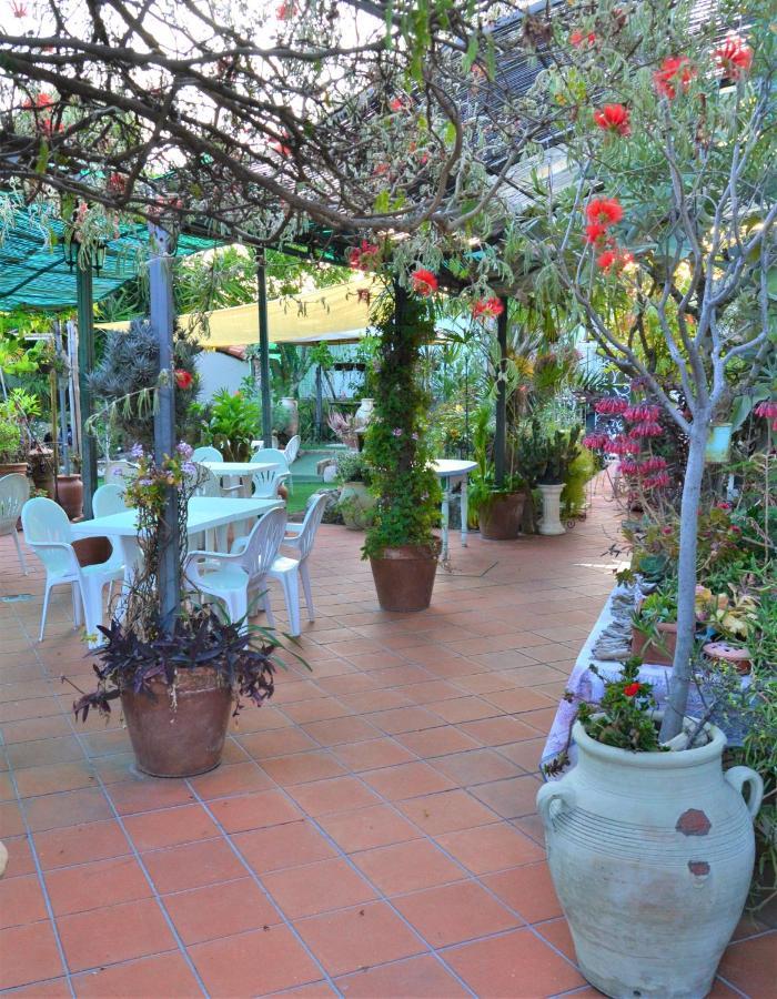 Agriturismo Terre Di Mare Bordighera Vallecrosia Exterior photo