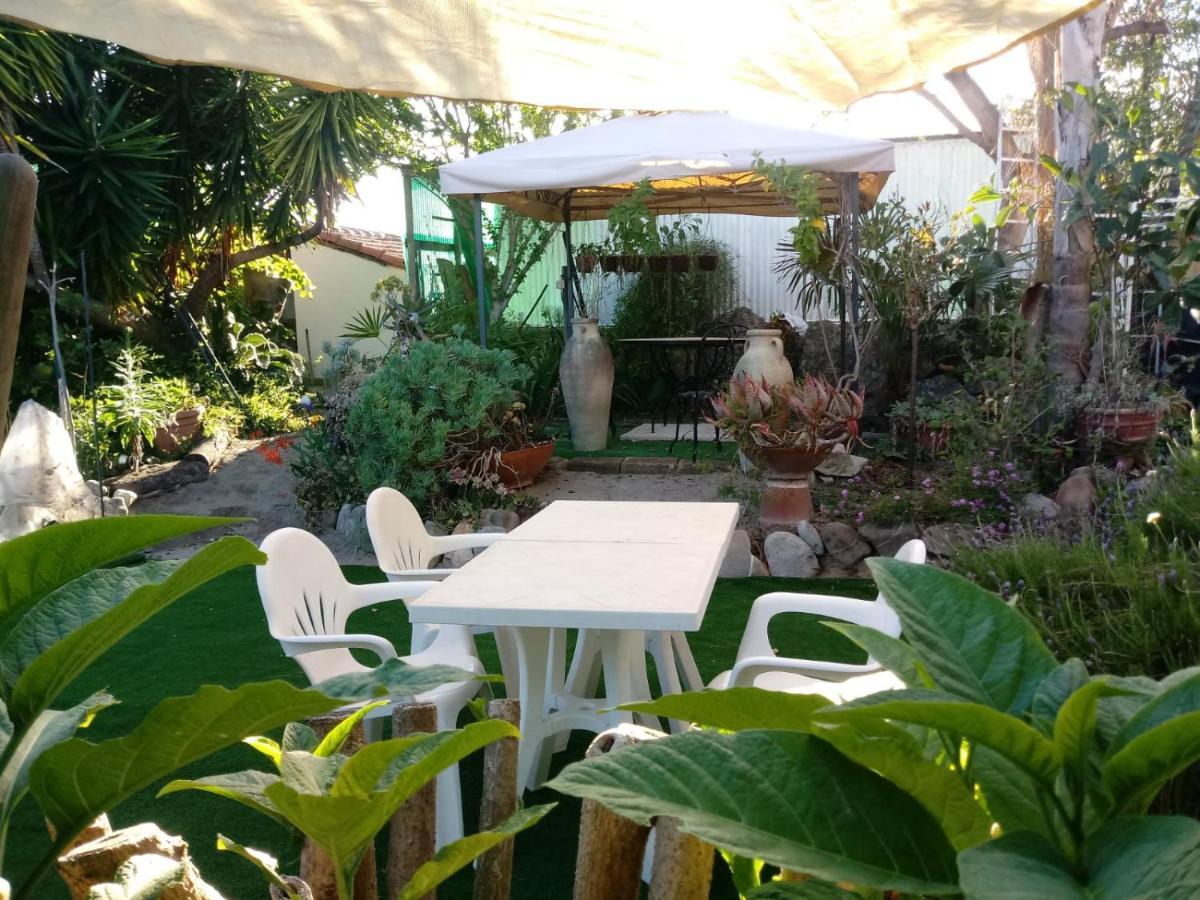 Agriturismo Terre Di Mare Bordighera Vallecrosia Exterior photo
