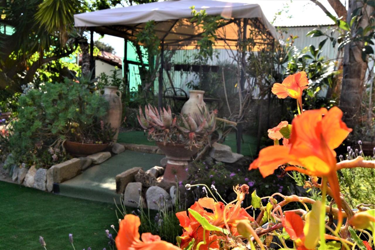Agriturismo Terre Di Mare Bordighera Vallecrosia Exterior photo